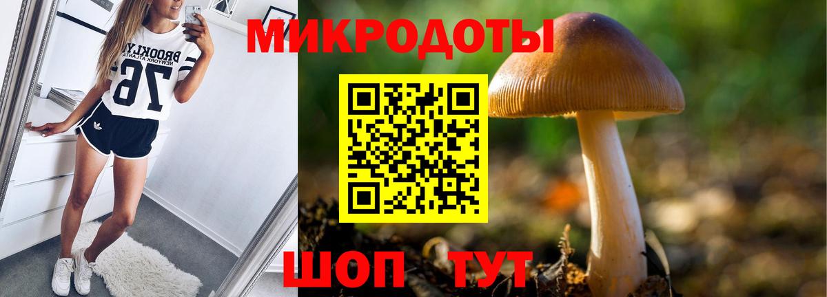 Псилоцибиновые грибы MAGIC MUSHROOMS  Вход с VPN  Бузулук  Галлюциногенные грибы Cubensis 